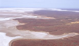 Powierzchnia Australii. Jezioro, które pojawia się i znika