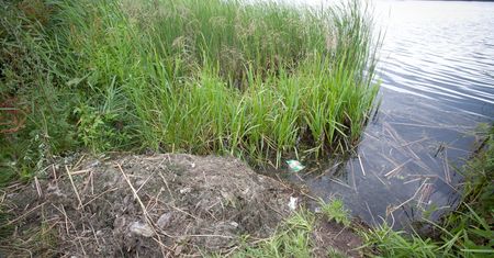 Chwila dobrej pogody, a ludzie już tracą głowy. Fatalny finał skoku do wody