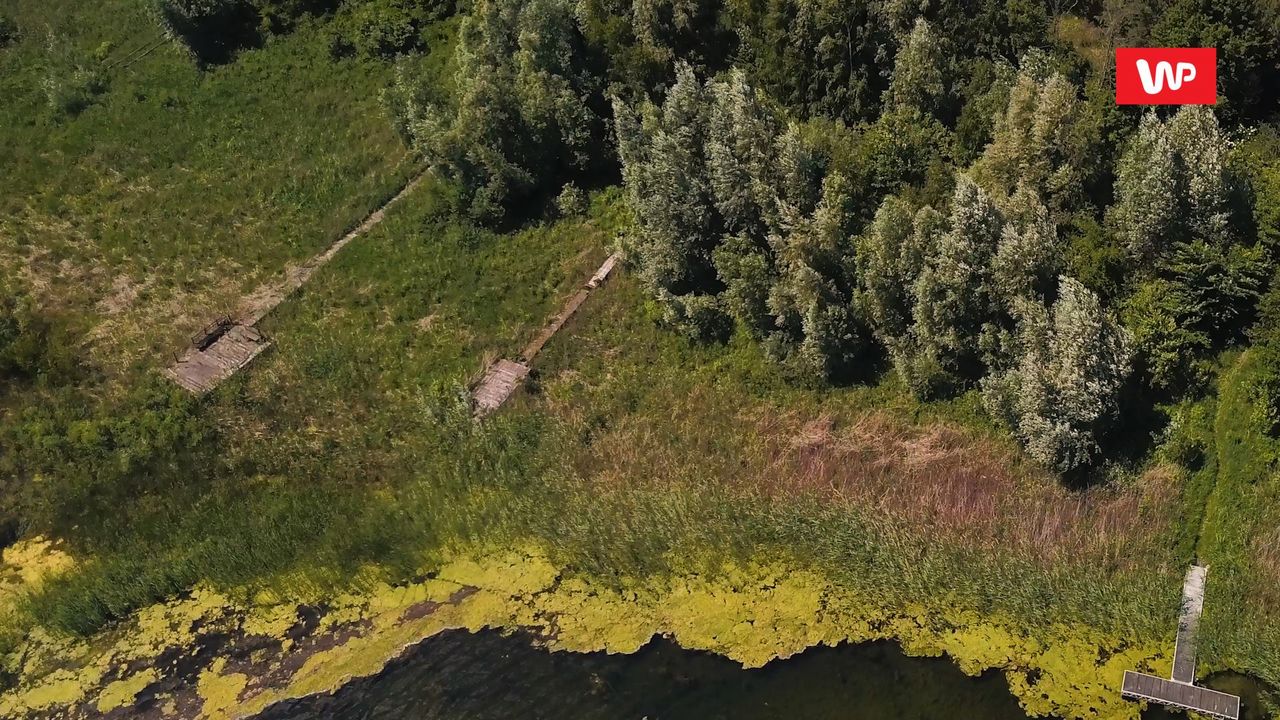 "Znikające jezioro". Pojezierze Gnieźnieńskie wysycha