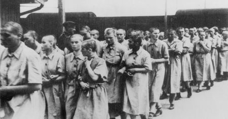 "Podróż Cilki". Fragment kontynuacji książki "Tatuażysta z Auschwitz"