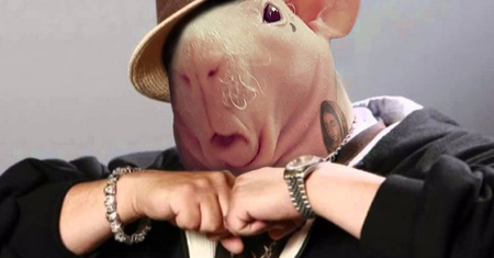 Świńska zabawa w Photoshopie