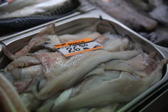 W Bałtyku zabraknie dorsza. "Jeśli nie zamkniemy morza na 3 lata, nie będzie co łowić"