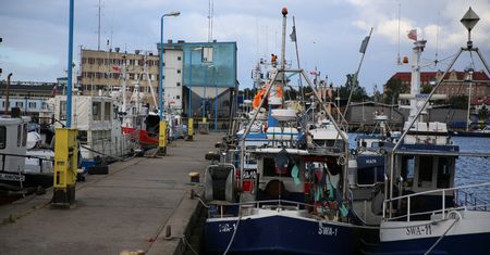 Dorsza w Bałtyku jest za mało. Bruksela wprowadza zakaz połowów