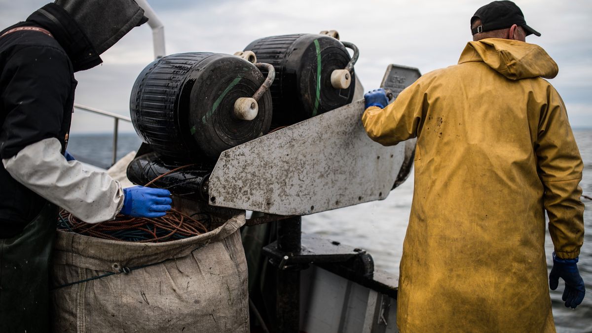 Unia Europejska szuka sposobu na to, jak zrekompensować rybakom zakaz połowów dorsza.