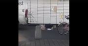 Tak InPost dostarcza przesyłki. Szokujące nagranie w sieci
