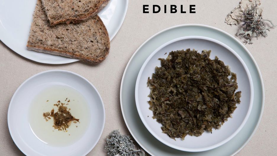 Porosty będą w przyszłości naszym głównym składnikiem żywności.