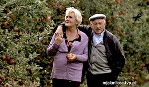 Twórcy "M jak miłość" upamiętnili zmarłych aktorów serialu. Widzowie przeżyli nie tylko śmierć Witolda Pyrkosza