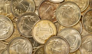 Znalazłeś złotówkę? Musisz zwrócić ją staroście - przynajmniej na razie