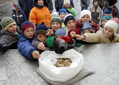 Góra Grosza na domy dziecka