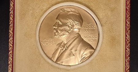 Nobel z Fizyki 2024: Hopfield i Hinton nagrodzeni za rewolucyjne odkrycia w dziedzinie sztucznych sieci neuronowych