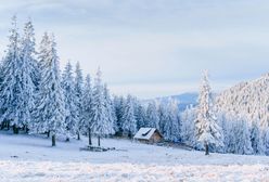 Zima w Karkonoszach – śnieg w najwyższych partiach Sudetów