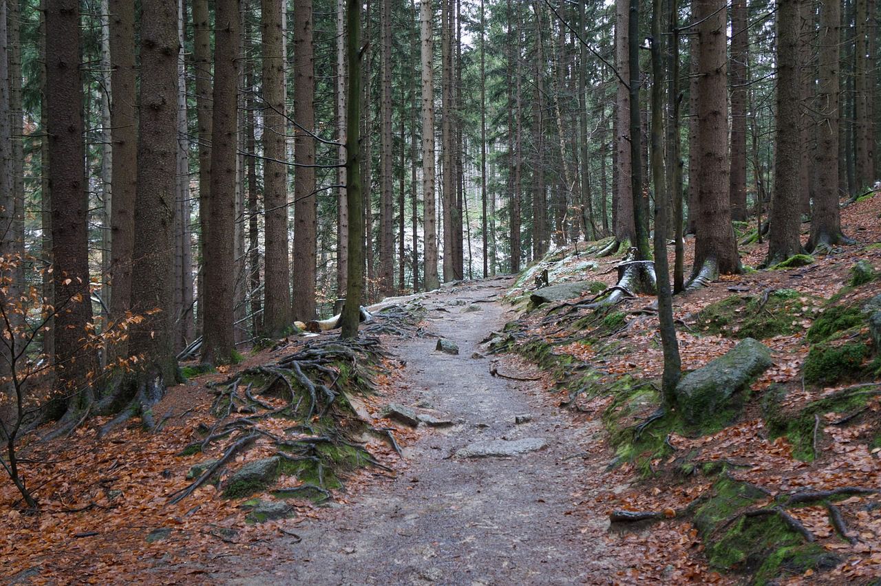 Karkonosze jesienią 