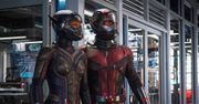 "Ant-Man i Osa": kochanie, zmniejszyłem superbohatera. Recenzja drugiej części hitu