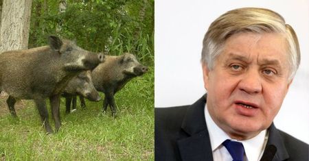 Nowy pomysł Jurgiela. Chce postawić płot na granicy z Białorusią