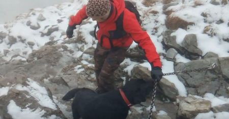 Przerażony labrador na szczycie Giewontu. Turyści podjęli niezwykłą akcję ratunkową