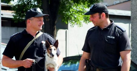 Ktoś ostrzelał wolontariuszkę zajmującą się zwierzętami. Kobieta czuje się zaszczuta
