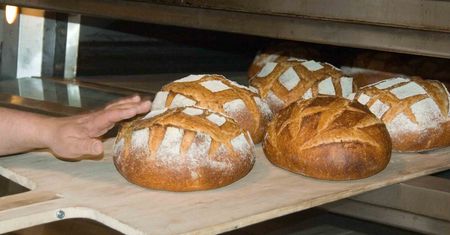 Chleba jemy coraz mniej. Pozornie szalony pomysł może przywrócić pieczywo do łask