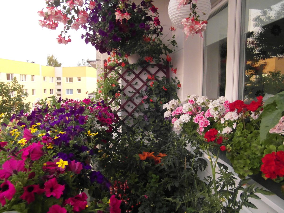 Wysłaliście nam zdjęcia Waszych majówkowych ogródków, działek i balkonów. Są imponujące!