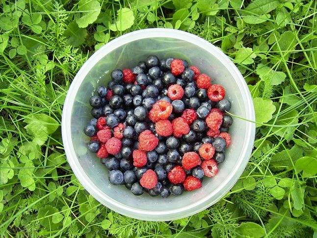 Dietetyk je owoce jagodowe codziennie- Pyszności; źródło: Pixabay