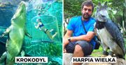 20 imponujących zdjęć udowadniających, że rozmiar i wielkość mają znaczenie. Obłędne porównania