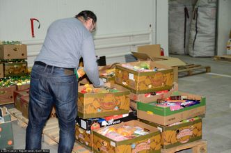 Marnowanie żywności. 1 marca wchodzi nowe prawo, posypią się kary