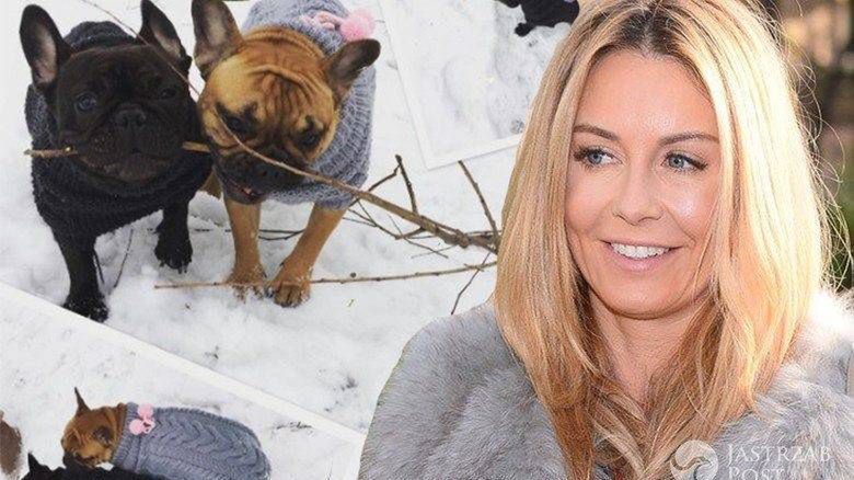 Za ile Małgorzata-Rozenek ubiera swoje psy?