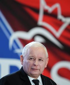 Wiejas: "Bierzcie i jedzcie z tego wszyscy. Prezesie Kaczyński, zapomnij" (Opinia)