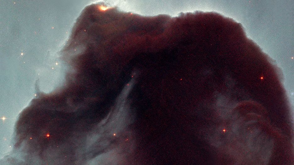Pył kosmiczny – mgławica Końskiego Łba widziana z teleskopu Hubble'a