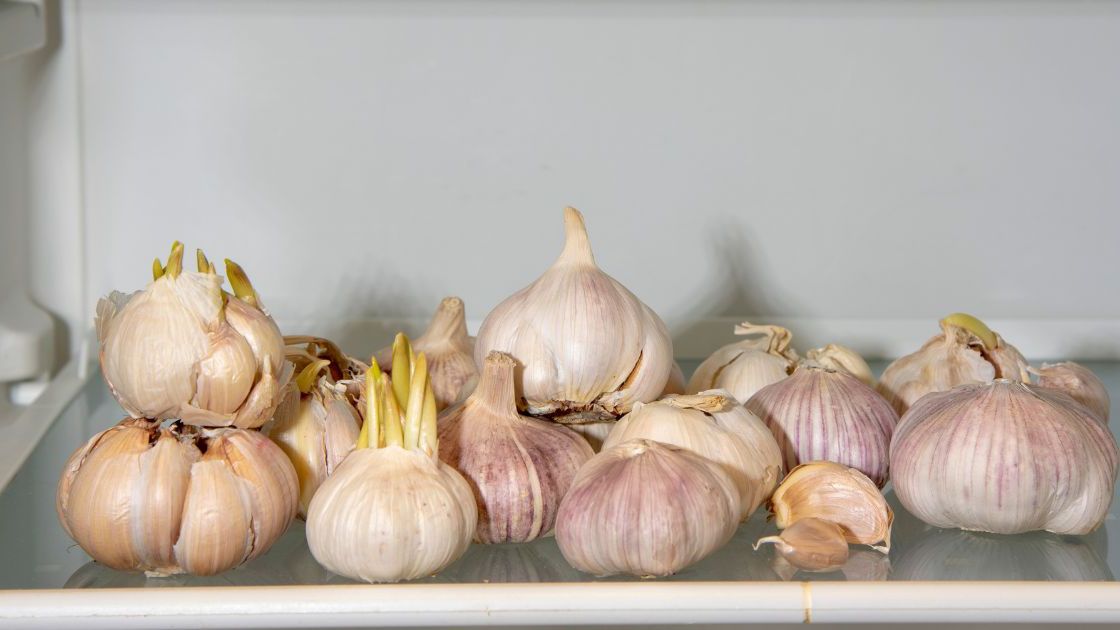 jak przechowywać czosnek
