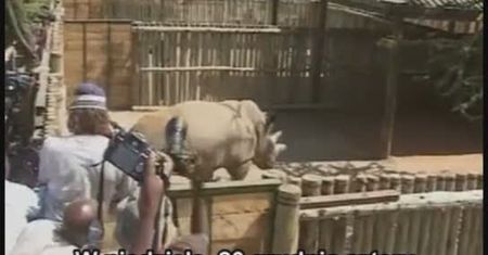 Z Czech do afrykańskiego zoo