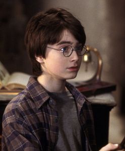 #dziejesiewkulturze: fani Harry'ego Pottera odkryli dziurę w scenariuszu. Dlaczego Hagrid tak długo zwlekał? [WIDEO]