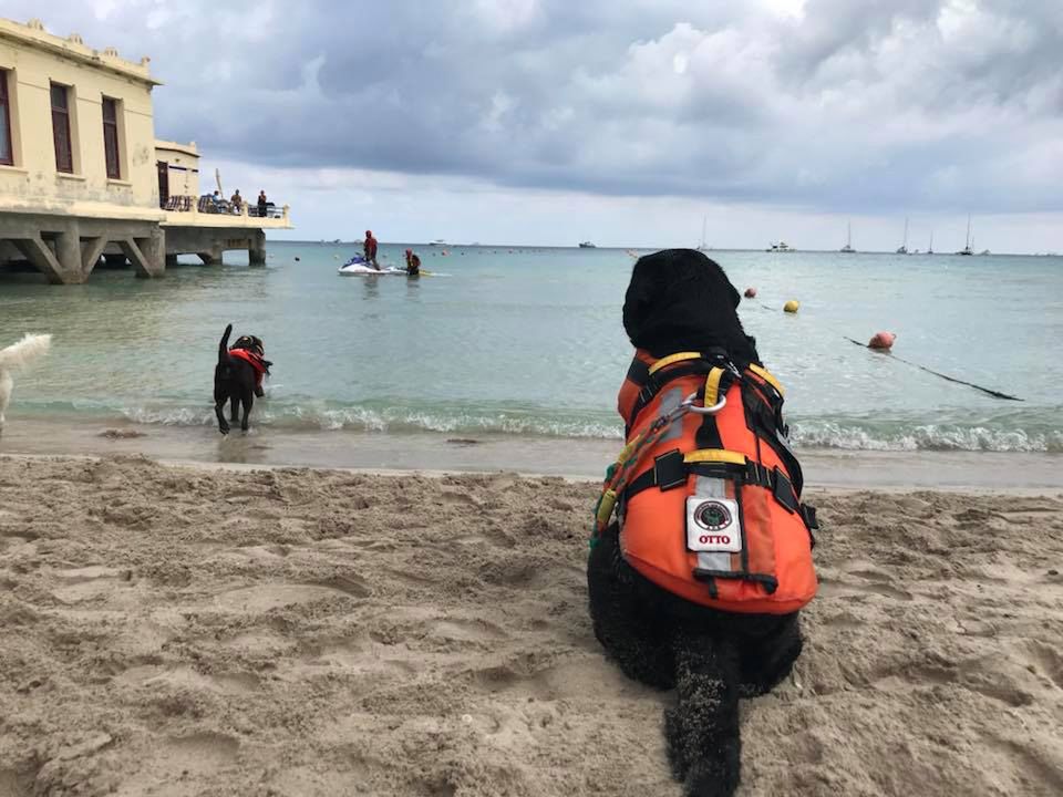 Sycylia: 13-latek z Polski uratowany przed utonięciem. Ocalił go pies