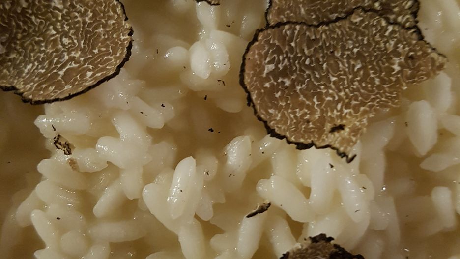 Włosi kochają borowiki, słynne włoskie funghi porcini, kurki i podgrzybki