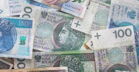 Złotego czeka złoty czas. Ekonomiści prognozują dużo niższe kursy walut