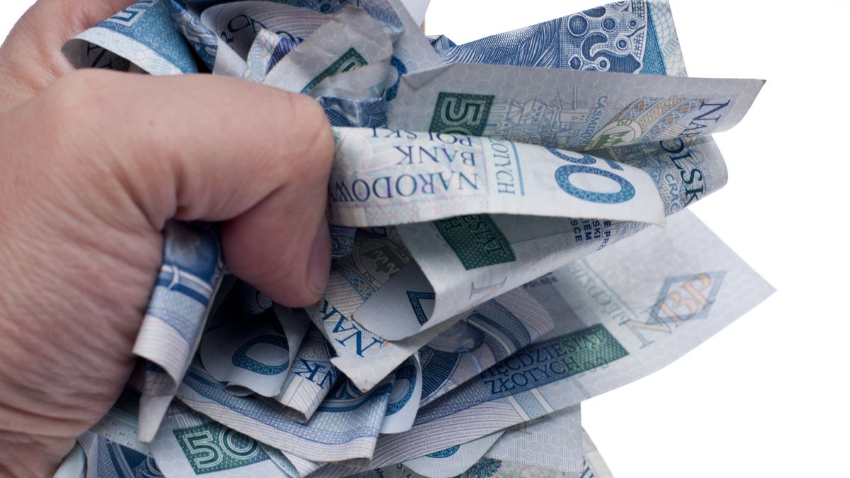 W najbliższych dniach na złotego mogą wpłynąć dane o zatrudnieniu, wynagrodzeniach, produkcji czy koniunkturze