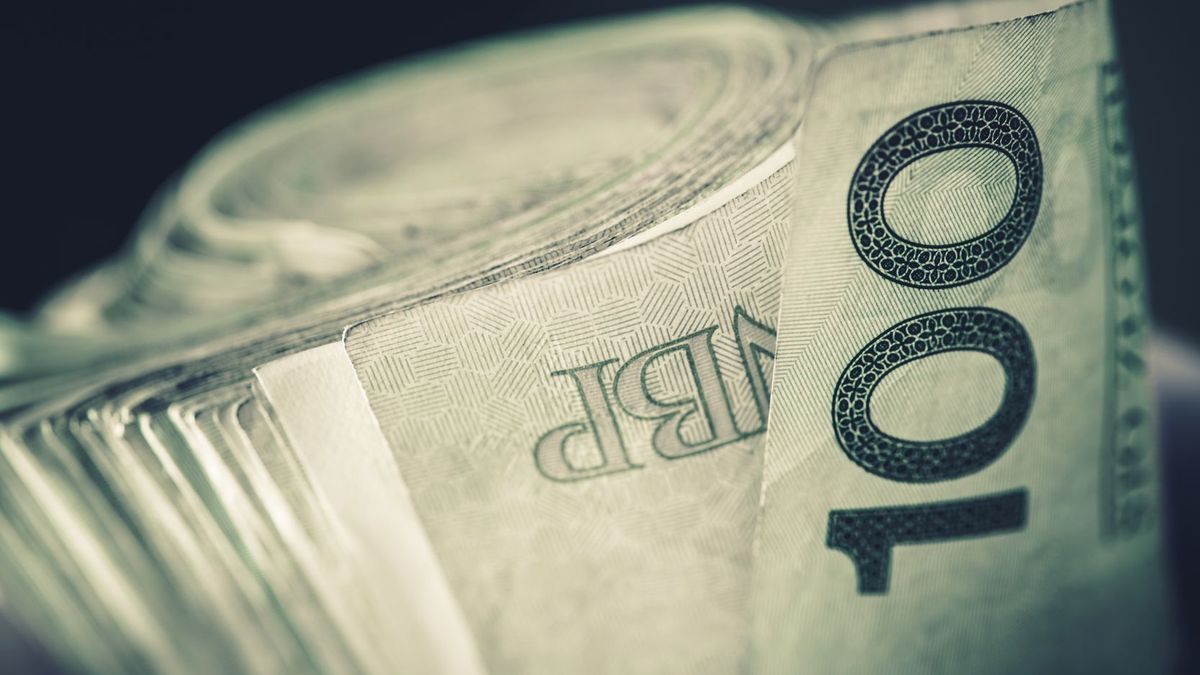 Złoty wrócił do łask