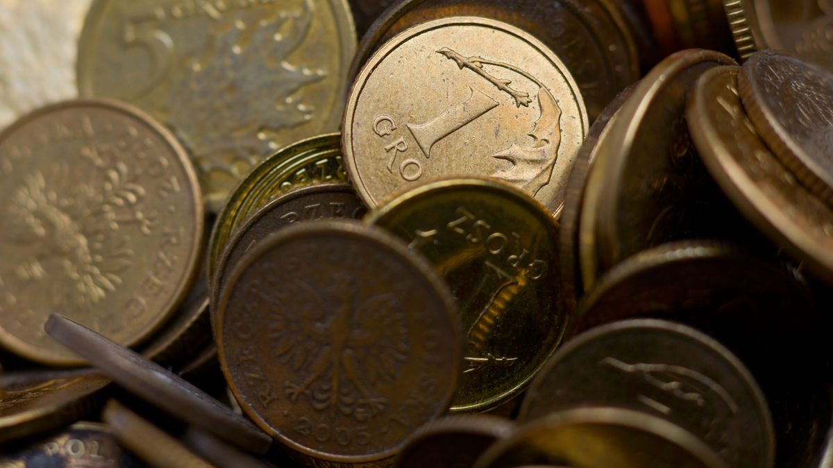 Problematyczne groszówki. Niechętnie nimi płacimy, a stale rośnie ich liczba