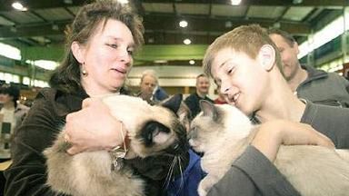 Zjazd kociej arystokracji