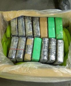 Przemyt kokainy. Aż 190 kg narkotyku między bananami