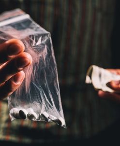 Łódź. Kobieta przemyciła kokainę dla międzynarodowego gangu