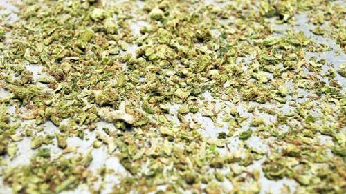 Łódź. Bałuty. 19-latek wniósł do sklepu słoik marihuany 