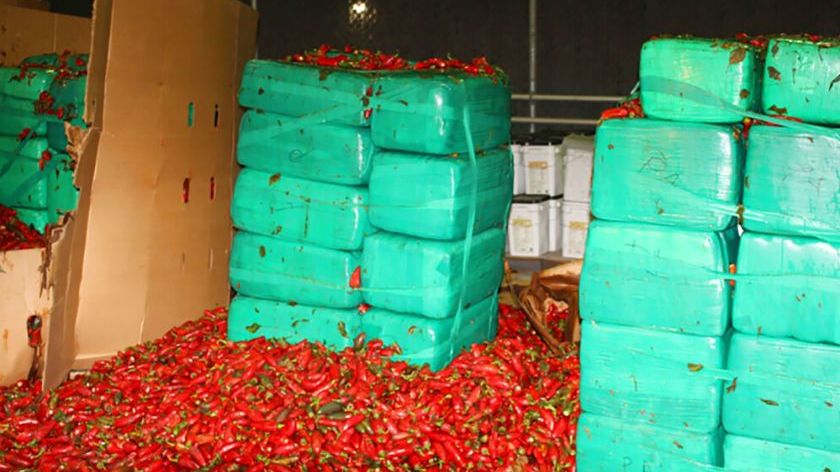 3,5 tys. kilogramów marihuany na statku z papryczkami jalapeno