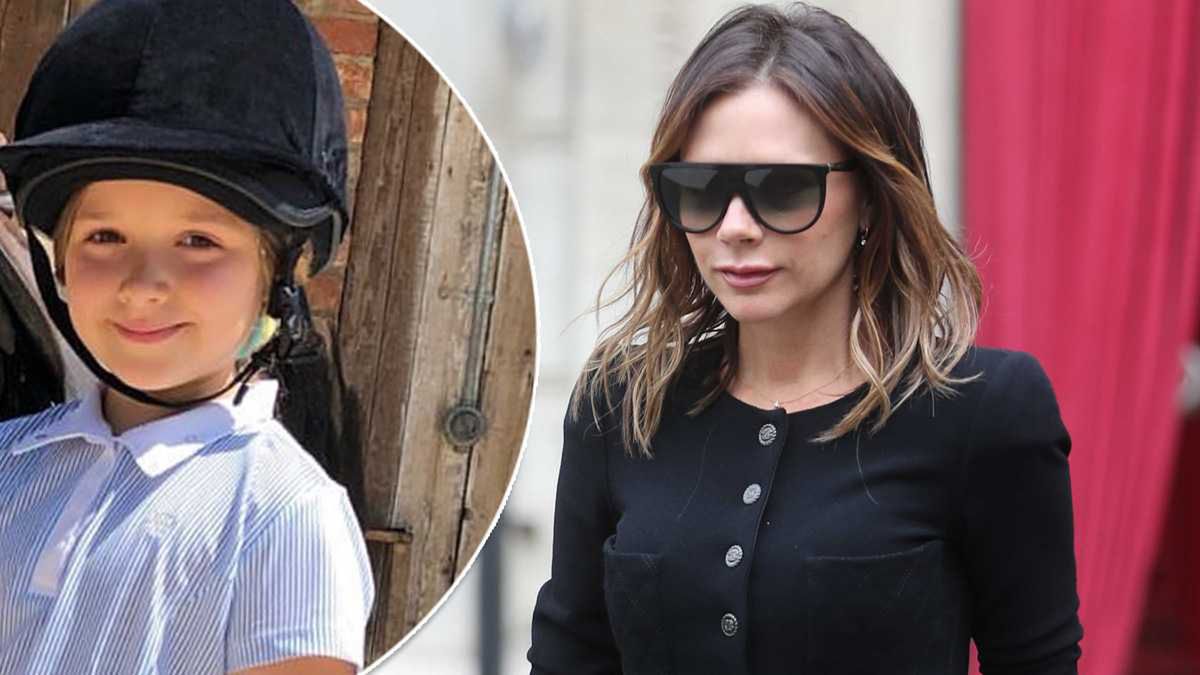 Victoria Beckham adoptowała kota