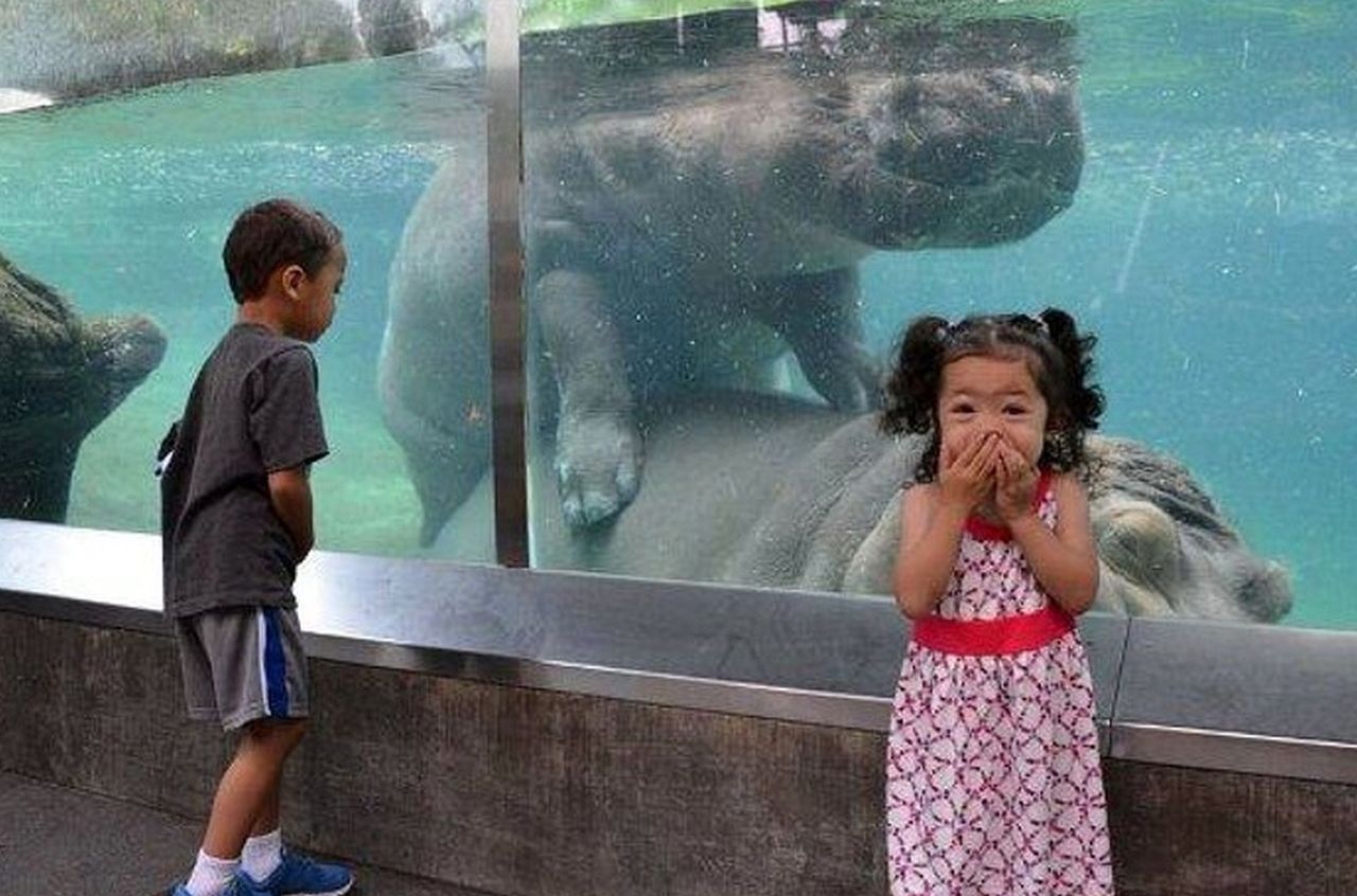 Zabrali dzieci do zoo. Szybko pożałowali