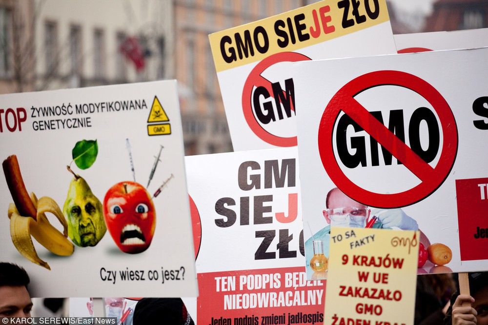 "Wolne od GMO". Będzie nowe oznakowanie produktów w sklepach