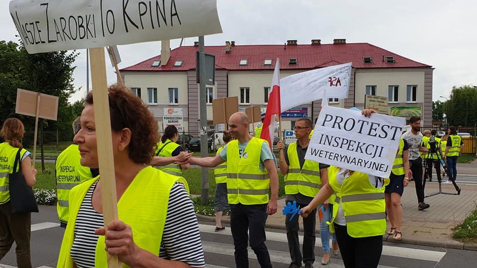 Pracownicy Inspekcji Weterynaryjnej tracą cierpliwość i w piątek od rana wyszli na ulice