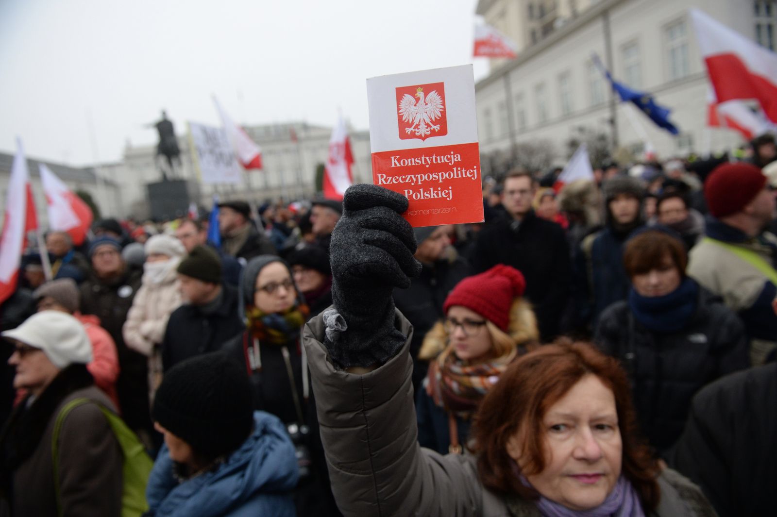 Поляки митинг. Митинг. Митинги и протесты. Поляки майдан фото места. Лидер оппозиции в польше.