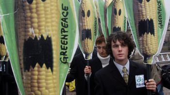 Greenpeace protestuje w Warszawie