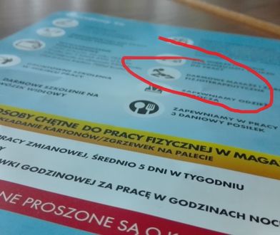 Tak Biedronka przyciąga pracowników. Luksusy, których nie ma niejeden prezes