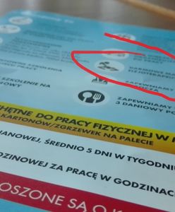 Tak Biedronka przyciąga pracowników. Luksusy, których nie ma niejeden prezes